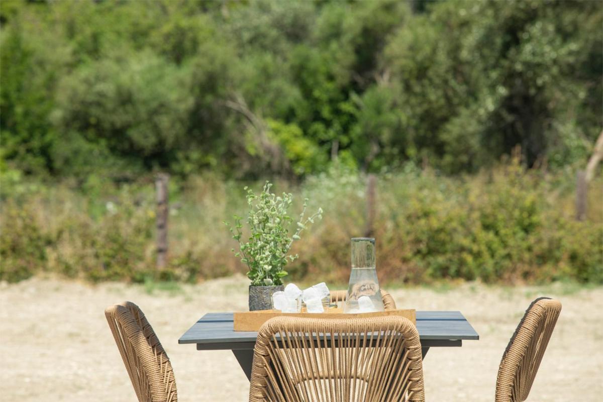 Seascape Villas Vassiliki - Beachfront Villas Exteriör bild